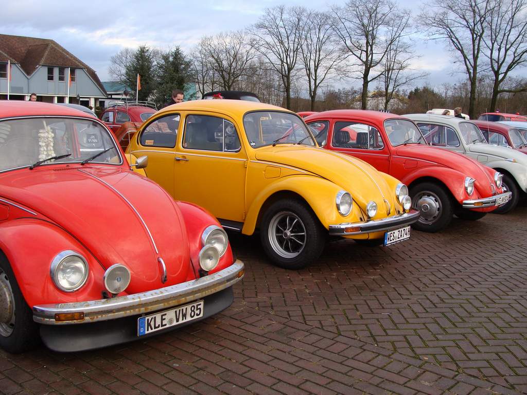 Bild 7373.jpg