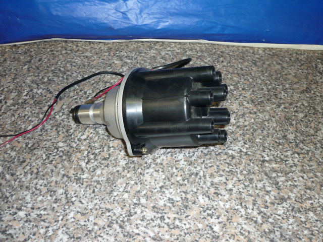 P1000547.JPG