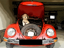 Benutzeravatar