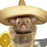 Benutzeravatar