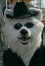 Benutzeravatar