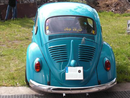 Turbotarga5.JPG