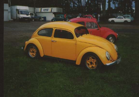 kaefer2.jpg