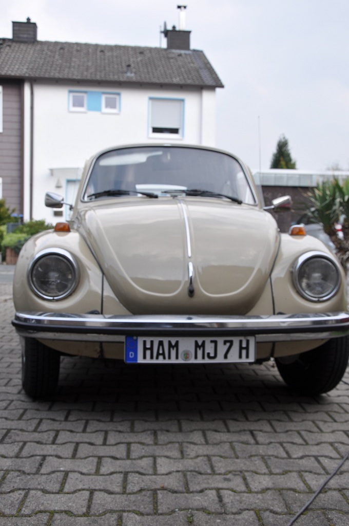 DSC_0021a.jpg