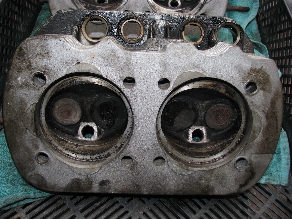 ZylK 12