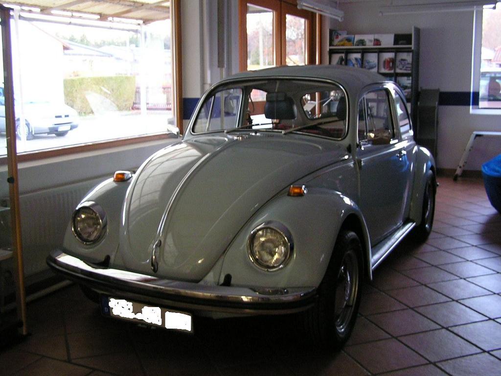 kaefer01.JPG