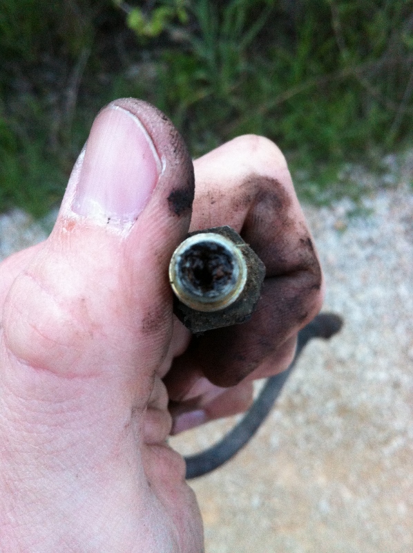 IMG_2180 (598x800).jpg