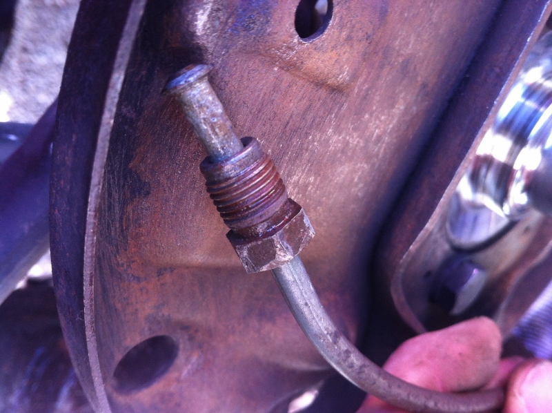 IMG_2216 (800x598).jpg