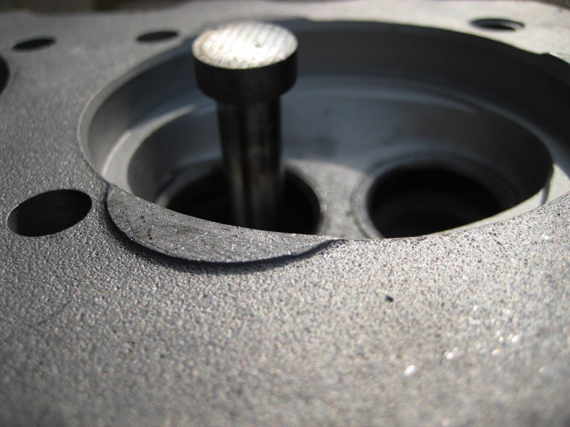 Jan 1200 toppe 006 (Kopie).jpg