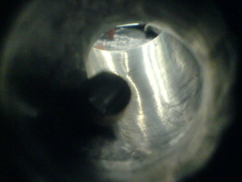 DSC00557.JPG