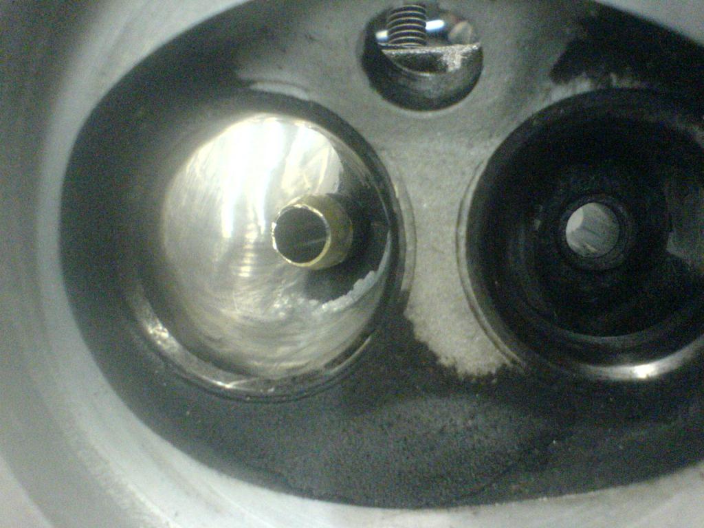 DSC00555.JPG