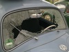 Bild0206.jpg