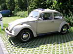 sommer 2009.JPG