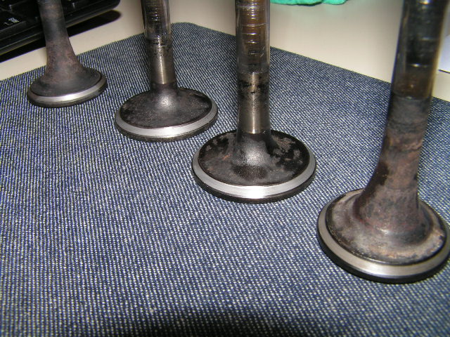 PICT0001.JPG