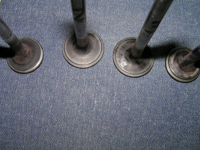PICT0002.JPG
