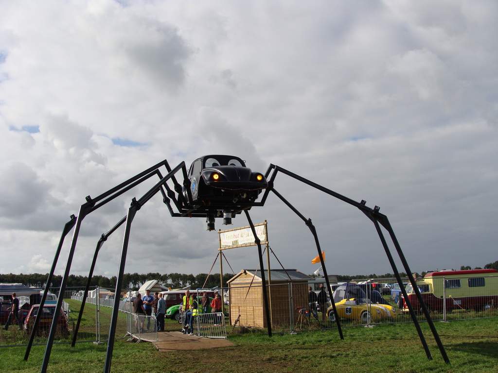 Budel-Spinne