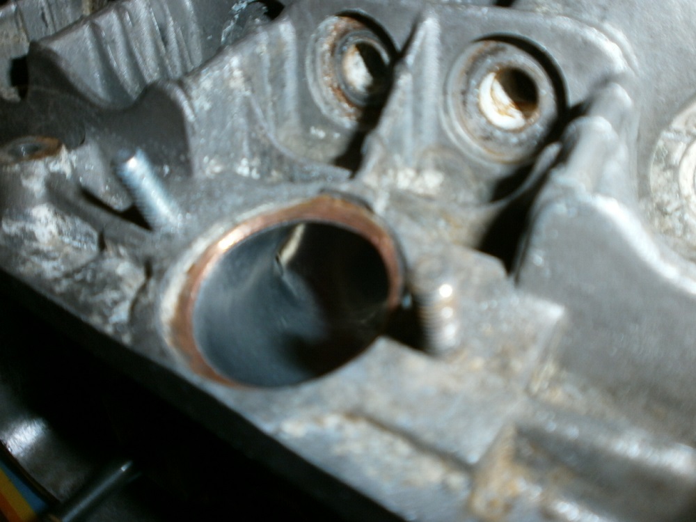 2013_11020028.JPG
