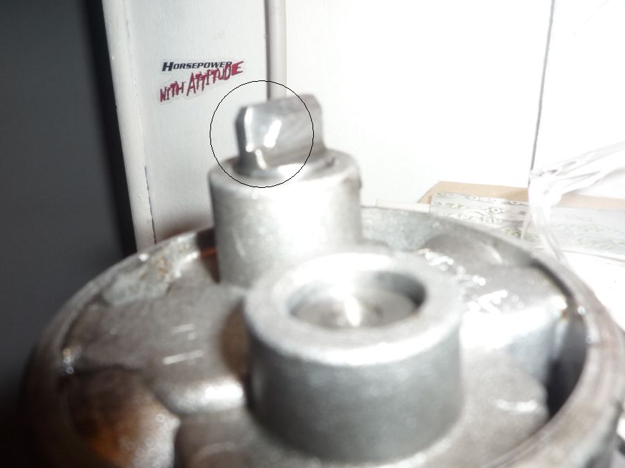 P1050130.JPG