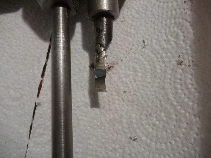 Ersatzwohlhaupter 004.JPG