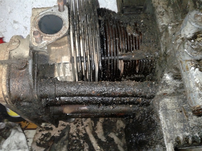 IMG_42543 20140131_155452 - Kopie.jpg