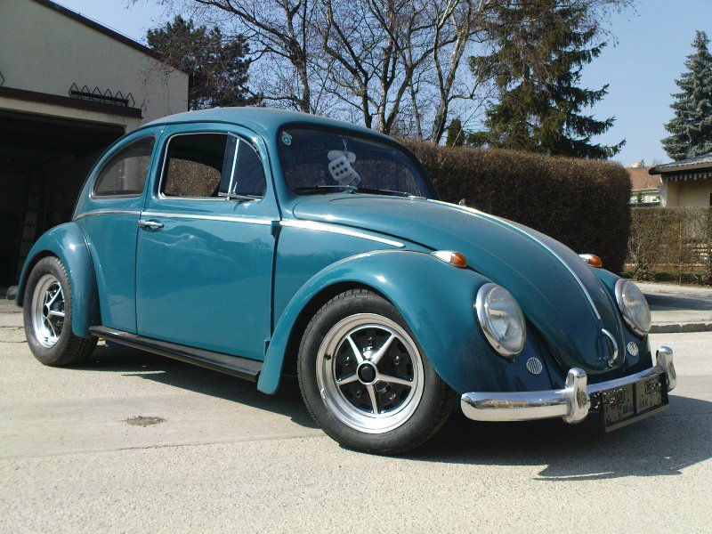 DSC01032 - Kopie.JPG