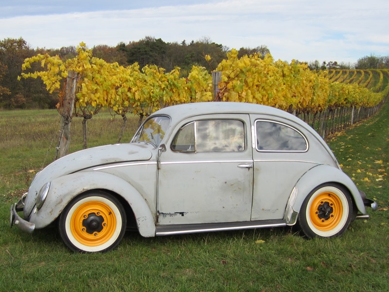 IMG_4000 - Kopie.JPG