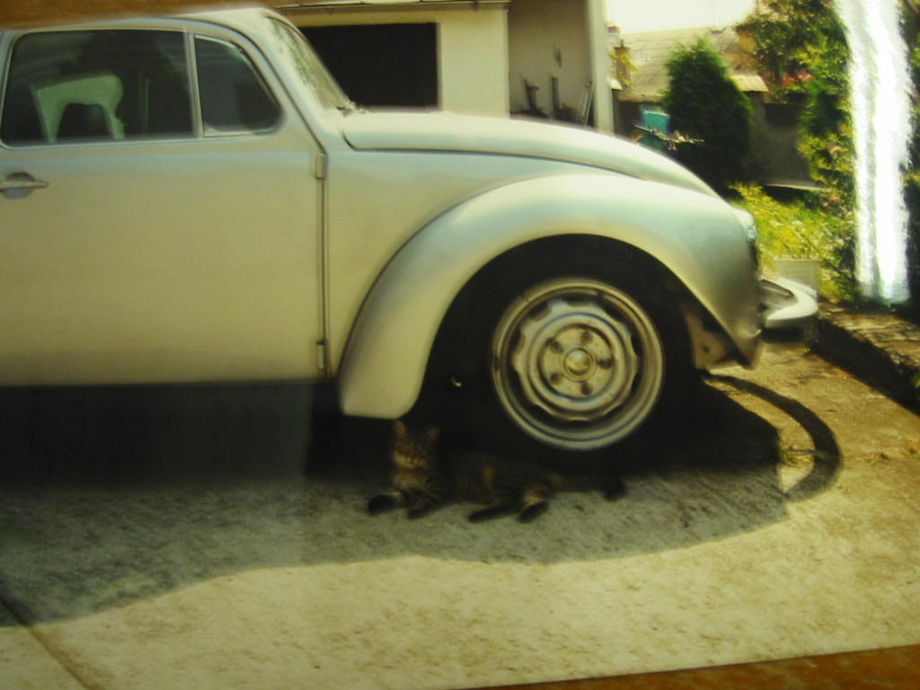 CONVAR961.jpg