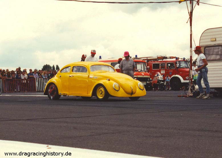 9107GB08_beetle.jpg
