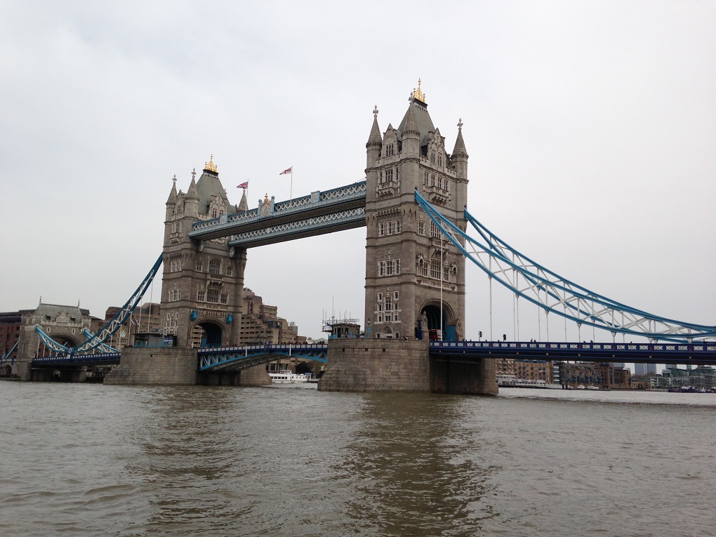 IMG_4654.JPG