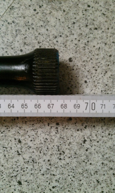 IMAG1565.jpg