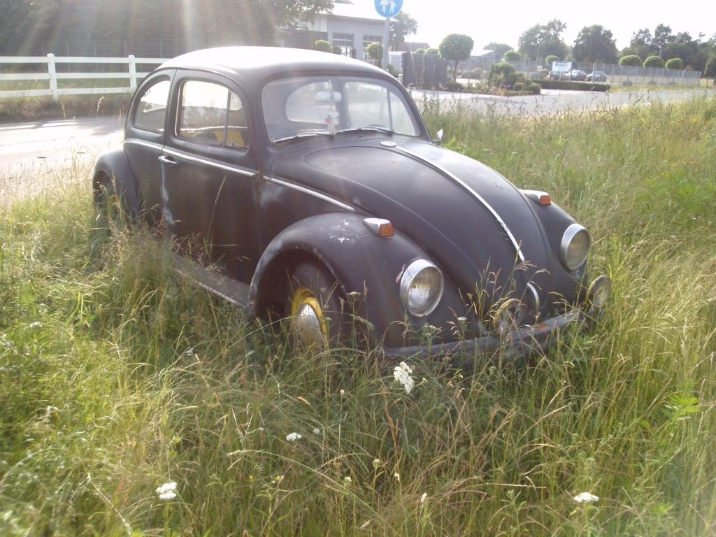 CAM01365.jpg