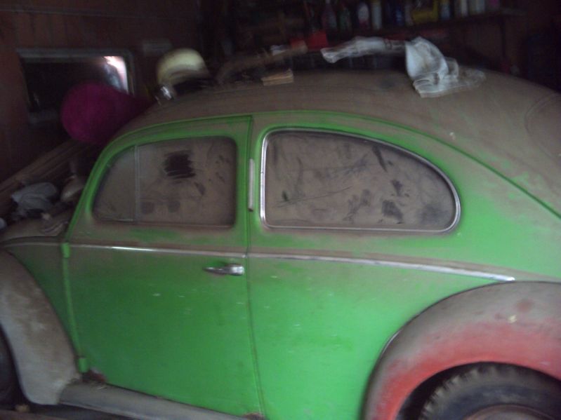 neue camara 022.1.jpg