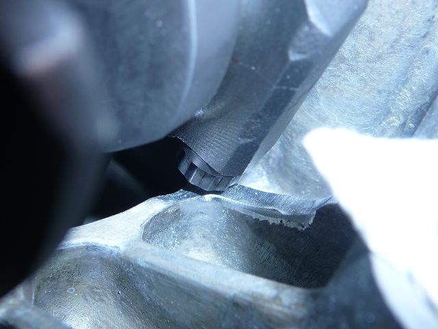 k-P1150843.JPG