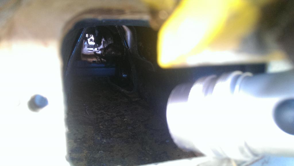 IMAG0118.jpg