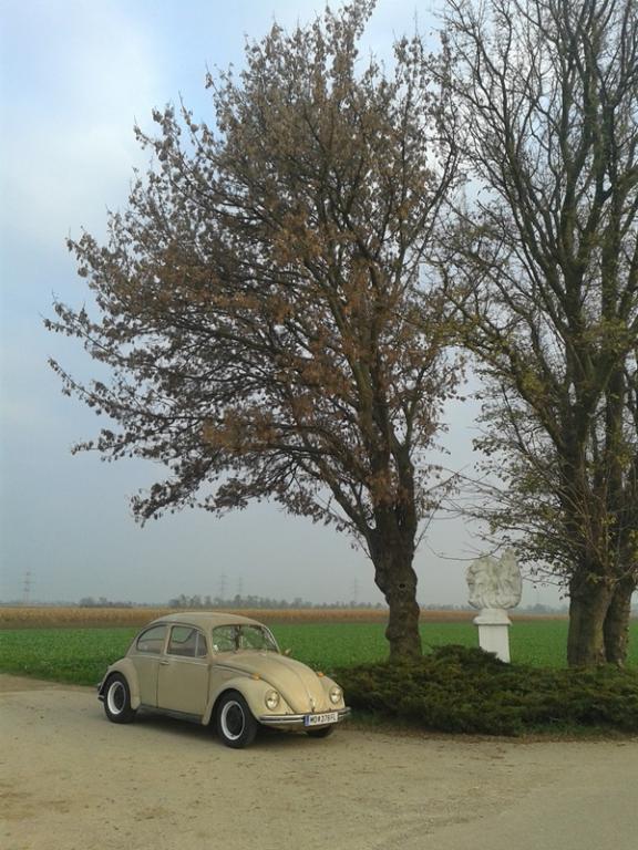 20141030_155257.jpg
