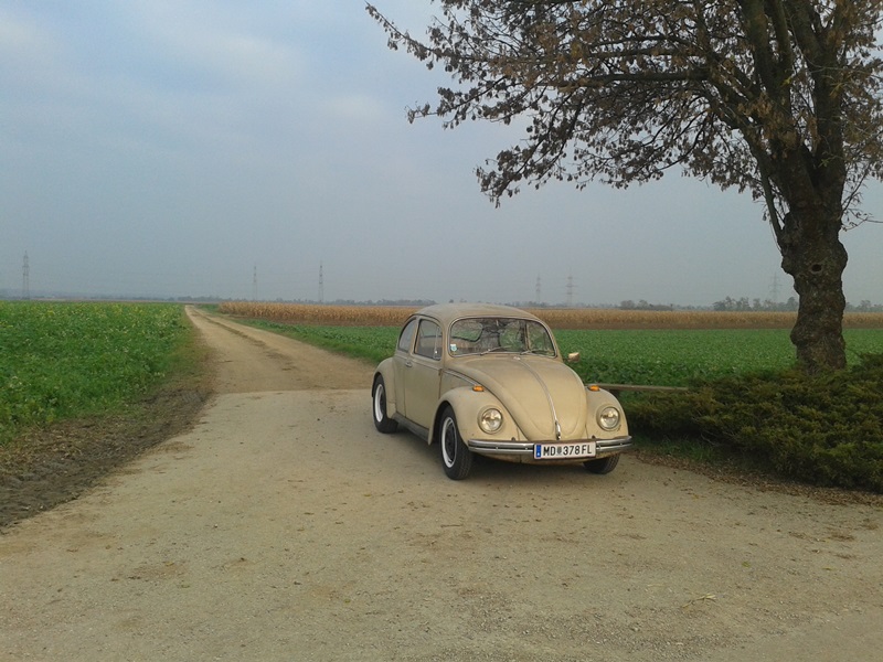 20141030_155309.jpg