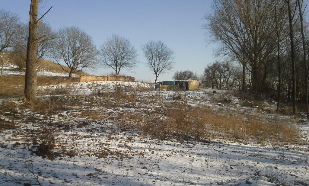 20150207_140120.jpg