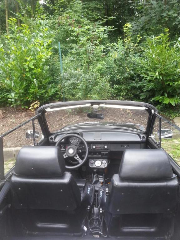 käferklein (10).JPG