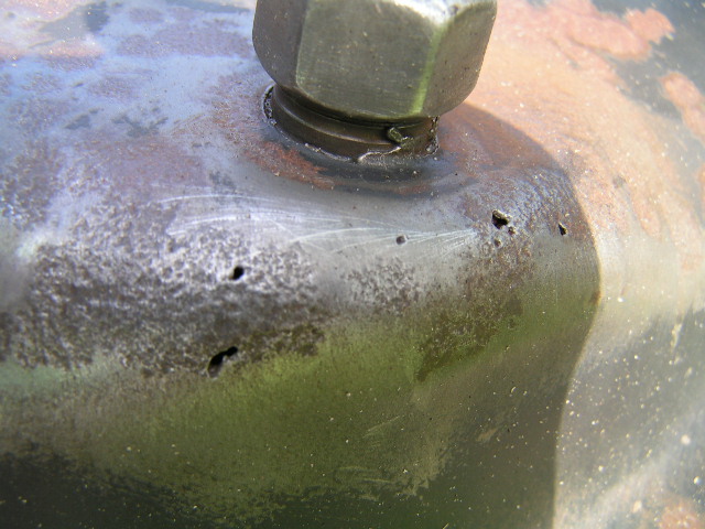 PICT0003.JPG