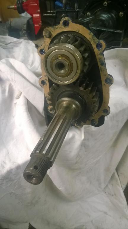 WP_20150510_001.jpg