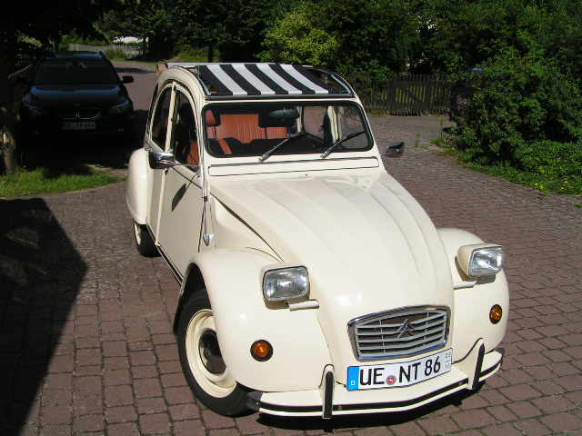 Ente fertig 012.JPG