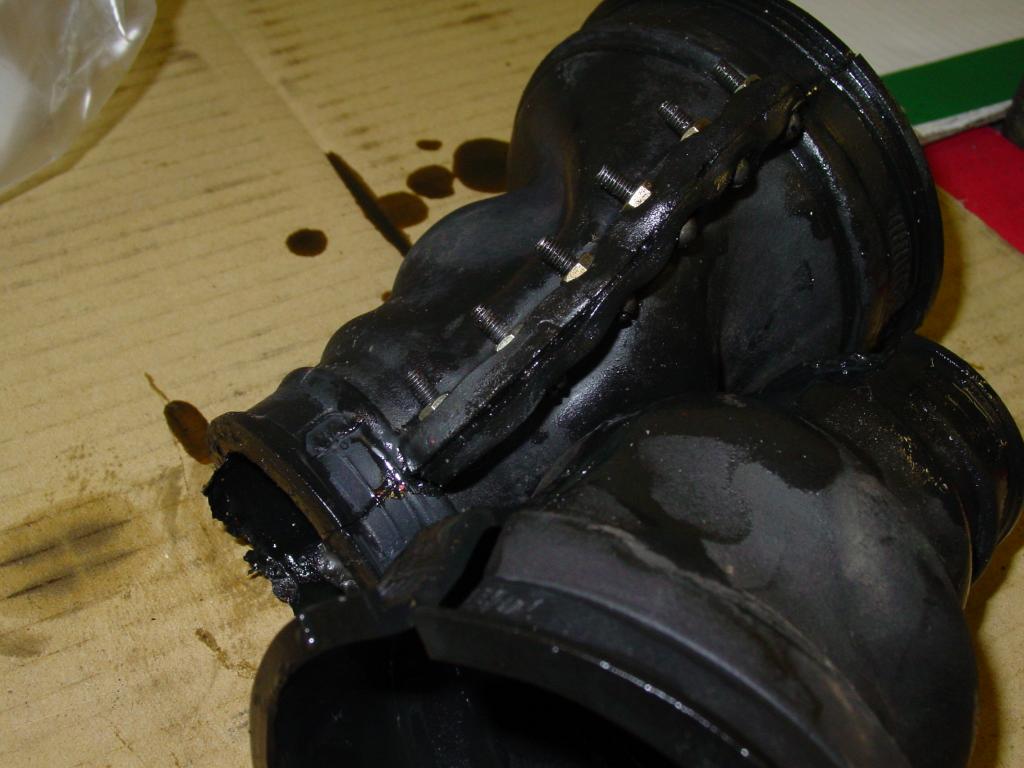 DSC03168.JPG