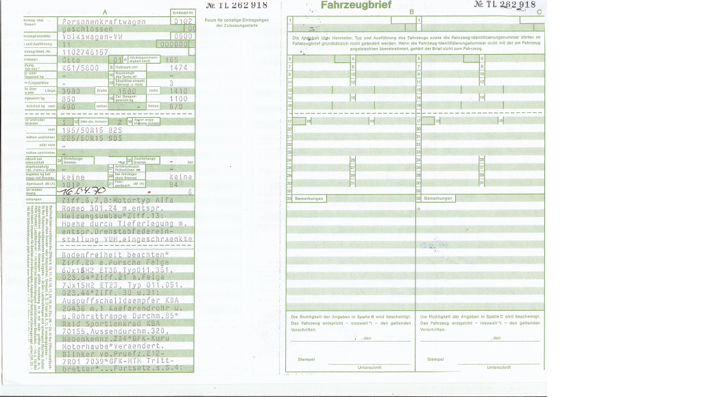 kaefer gruen_mit_alfa1-1 1024.png