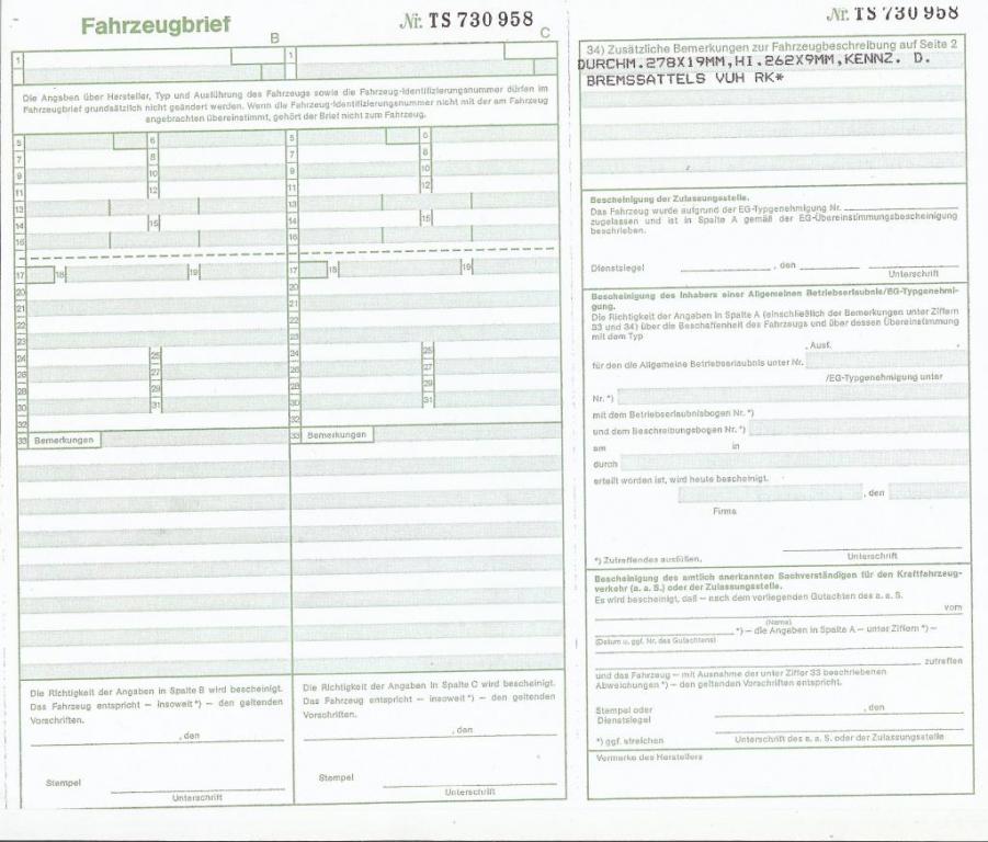 roter_kaefer_mit_t4-2 1024.jpg