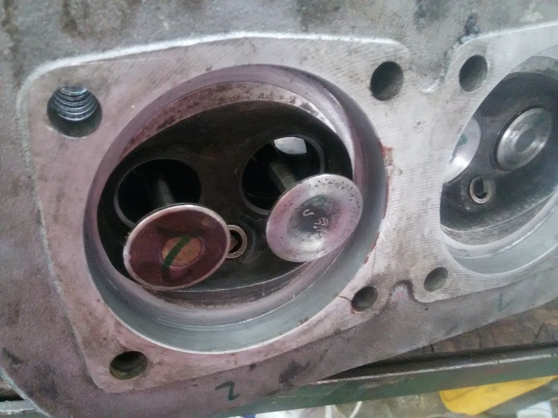 IMG_4717 20150828_105053 - Kopie.jpg