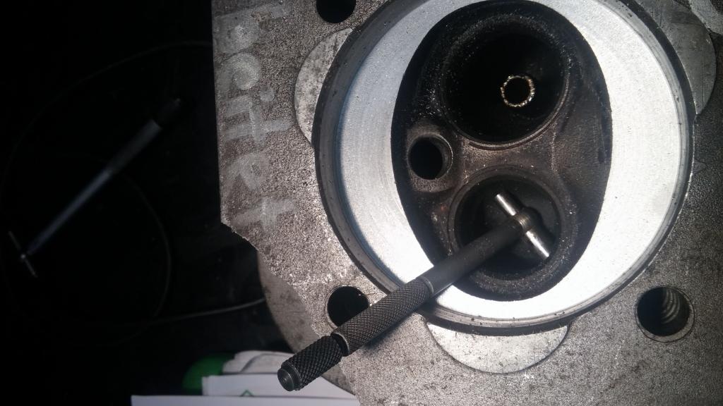IMG-20151115-WA0062.jpeg