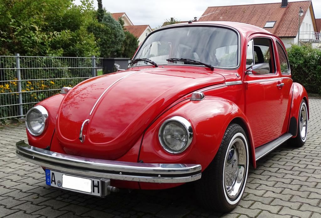 KäferVL.jpg