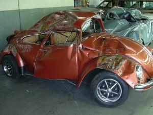 Last beetle SA.jpg