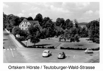 Hörste mit Käfer.jpg