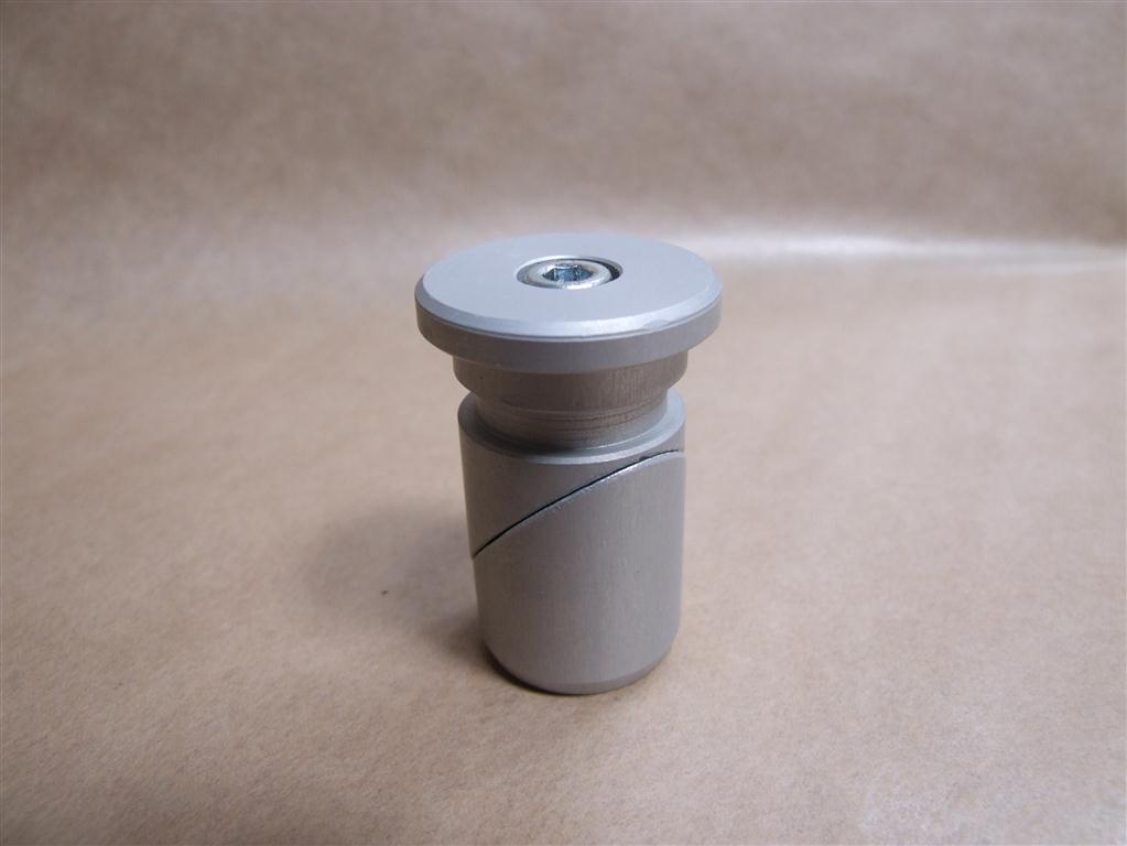 DSCF8314 (Medium).JPG